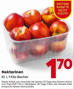 Billa Nektarinen Angebot