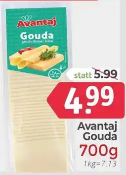 ETSAN Avantaj Gouda Angebot