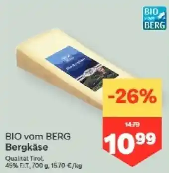 BIO vom BERG Bergkäse
