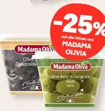 Madama Oliva Olive Bella di Cerignola Verdi
