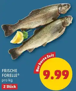 PENNY Frische Forelle Angebot