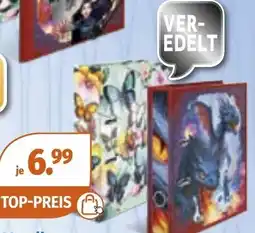 Müller Motiv Dragon oder Schmetterlinge Angebot