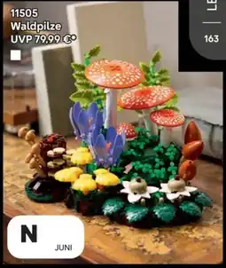 Lego LEGO Waldpilze Angebot