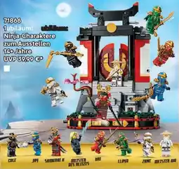 Lego Ninja-Charaktere zum Ausstellen Angebot