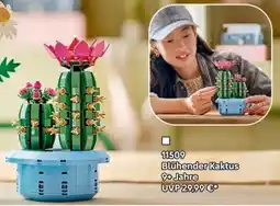 Lego LEGO Blühender Kaktus Angebot