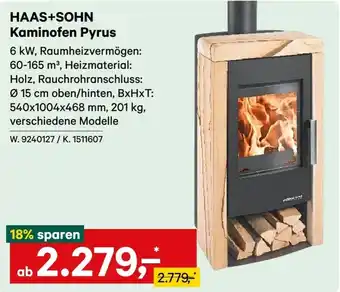 HAAS+SOHN Kaminofen Pyrus