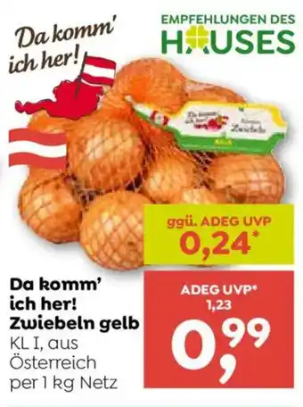 Zwiebeln gelb