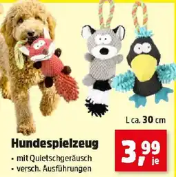 Thomas Philipps Hundespielzeug Angebot