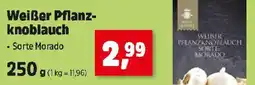 Thomas Philipps Weber Pflanzknoblauch Angebot