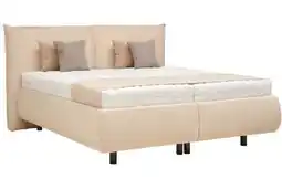 XXXLutz Voleo Polsterbett Angebot