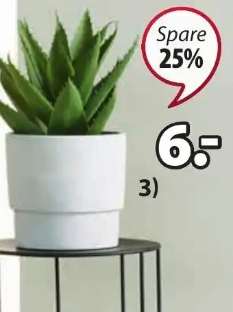 JYSK Blumentopf Otto Angebot