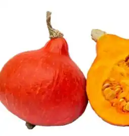 MPreis Bio vom Berg Hokkaido Kürbis Angebot