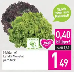 Sutterlüty Mahlerhof Ländle Mixsalat Angebot