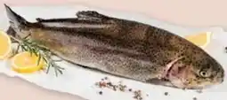 Interspar Lechfisch Lachsforelle Angebot