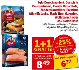 Interspar Iglo Dorsch paniert Angebot