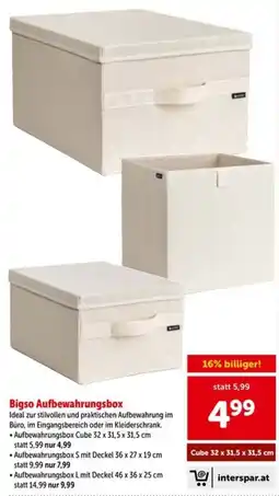 Interspar Bigso Aufbewahrungsbox Angebot