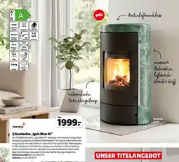 Hagebau Kaminofen „Ignis Mass R1“ Angebot