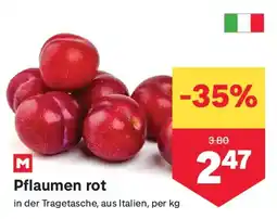 MPreis Pflaumen rot Angebot