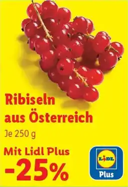 Lidl Ribiseln aus Österreich Angebot