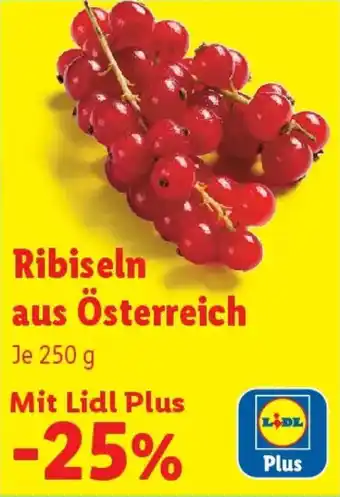 Lidl Ribiseln aus Österreich Angebot