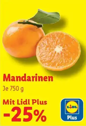 Lidl Mandarinen Angebot