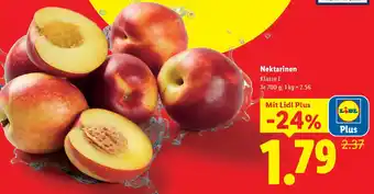Nektarinen