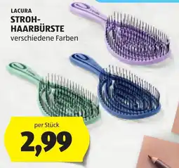 Hofer Lacura Stroh-Haarbrüste Angebot