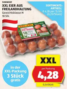 Hofer XXL Eier aus Freilandhaltung Angebot