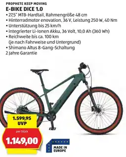 Hofer Prophete E-Bike Dice 1.0 Angebot