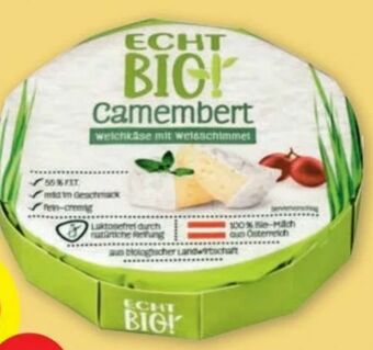 PENNY Camembert Angebot