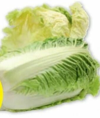 PENNY Chinakohl Angebot