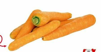 Transgourmet Karotten Angebot
