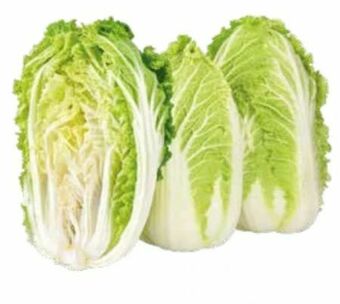 Transgourmet Chinakohl Angebot