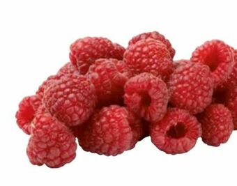 Transgourmet Himbeeren Angebot