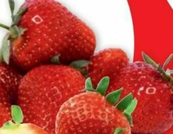 PENNY Erdbeeren Angebot