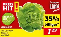 Kastner Kopfsalat Angebot