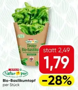 Spar Tiroler Bio-Basilikumtopf Angebot