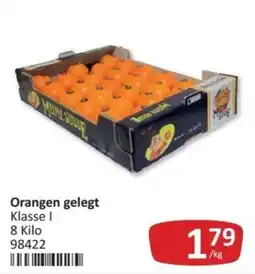 Kastner Orangen gelegt Mene süss Angebot