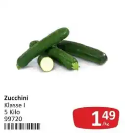 Kastner Zucchini Klasse I Angebot