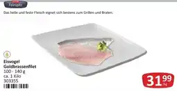 Kastner Eisvogel Goldbrassenfilet Angebot