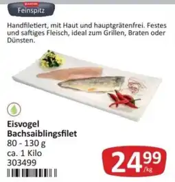 Kastner Eisvogel Bachsaiblingsfilet Angebot