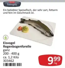 Kastner Feinspitz Eisvogel Regenbogenforelle Angebot