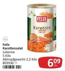 Kastner Felix Karottensalat Julienne Angebot