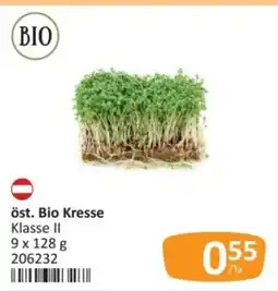 Kastner öst. Bio Kresse Angebot