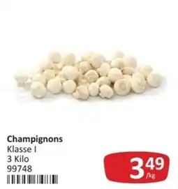 Kastner Champignons Klasse I Angebot
