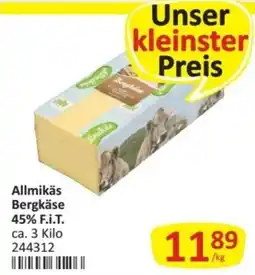 Kastner Allmikäs Bergkäse Angebot