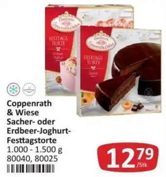 Kastner Coppenrath & Wiese Sacher- oder Erdbeer-Joghurt-Festtagstorte Angebot