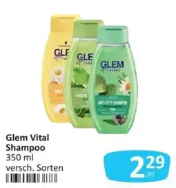 Kastner Glem Vital Shampoo Angebot