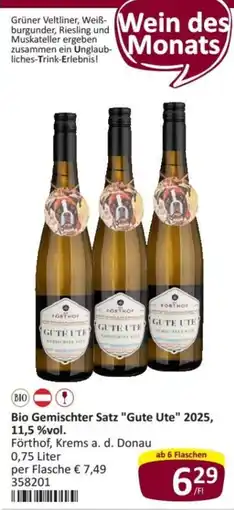 Kastner Bio Gemischter Satz "Gute Ute" 2025 Angebot