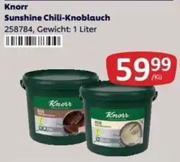 Kastner Knorr Sunshine Chili-Knoblauch Angebot
